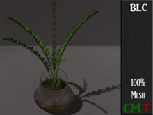 BLC haning fern bronze dark