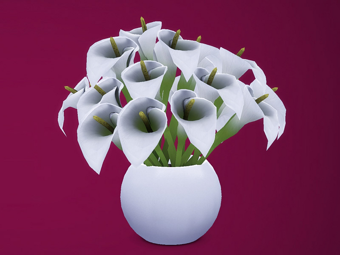 AF Calla Lilies