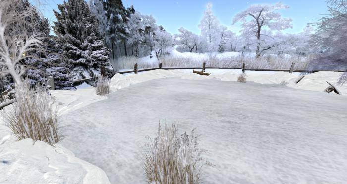 Snowy Winter Lake