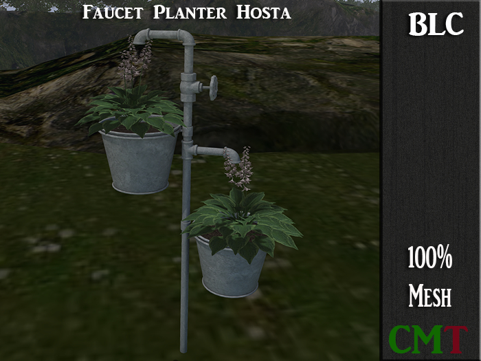 BLC Faucet Planter Hosta