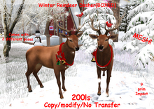 Winter Reindeer Dasher(BOXED)