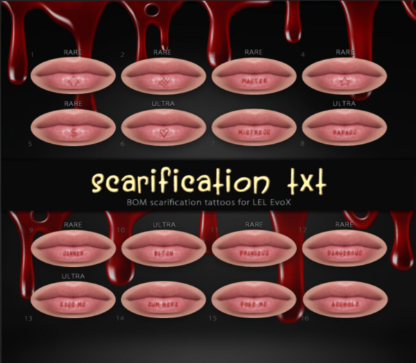 7.[Avenge] Scarification Txt - Mistress