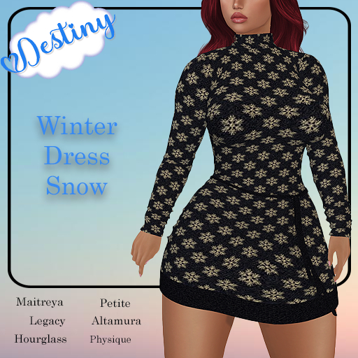 _Destiny_ Winter Dress Snow