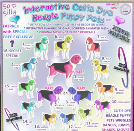 01. RARE BEAGLE-LUNA-SO SILLY