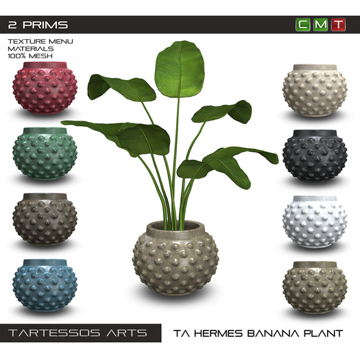 ::TA Hermes Banana Plant
