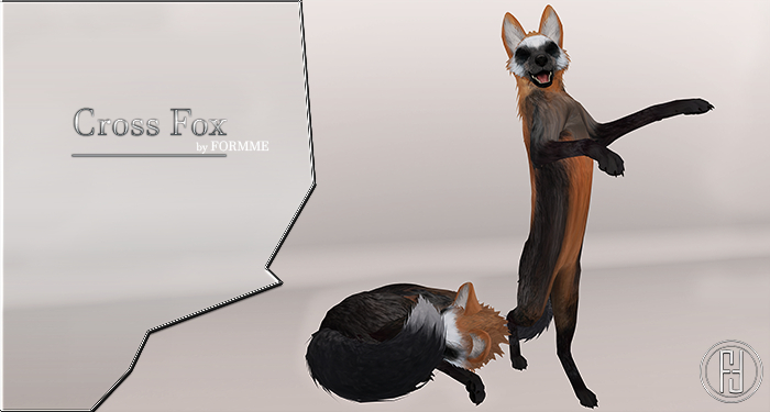 FORMME. Cross Fox X TWI Fox