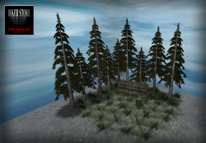 #The FOREST CORNER