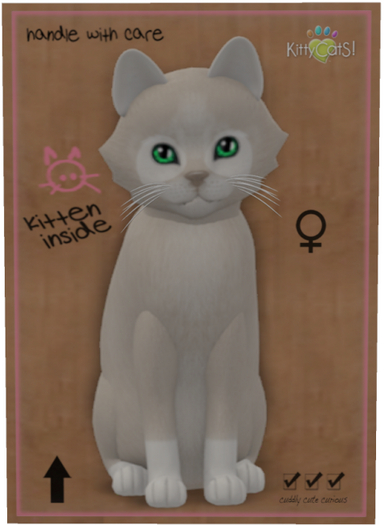 KittyCatS Box - Pandie - Platinum