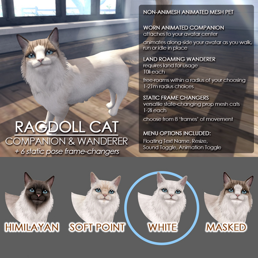JIAN Ragdoll Cat / White 