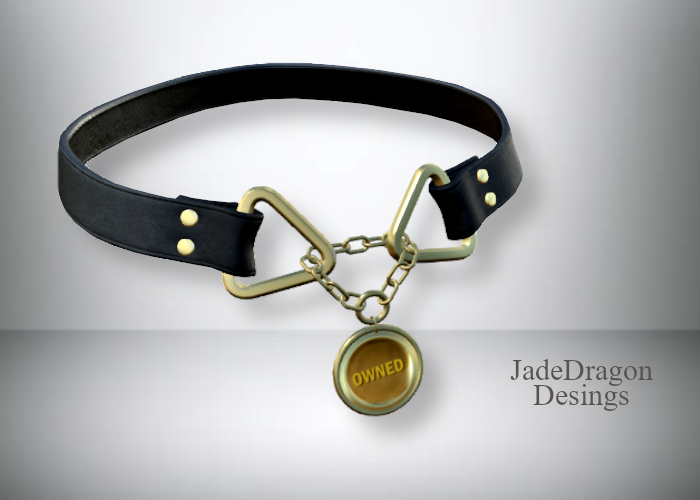 Leather + Gold Medallion Collar - Fashion