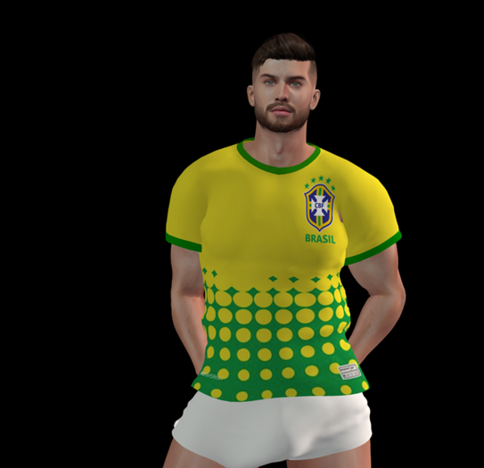 *INT**Shirt-brazil world cup