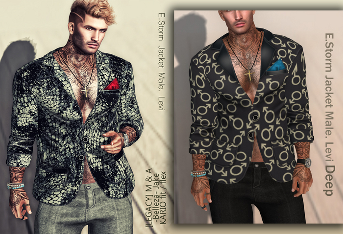 E.Storm Jacket Male. Levi Deep