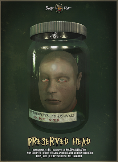 Dirty Rat - Preserved Head