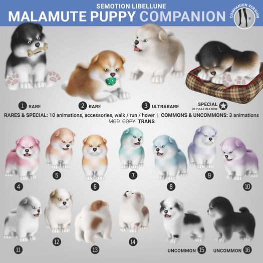 SEmotion Libellune Malamute Puppy Companion COMMON 04