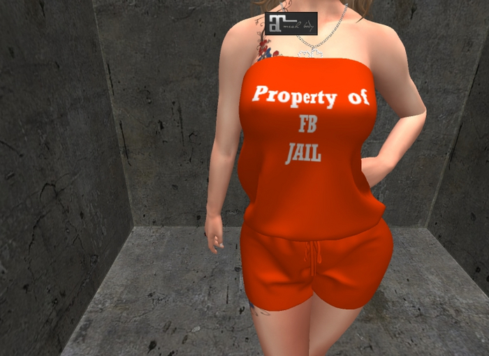 Riblets Dress co ^FB prison uniform