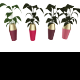 .*.*.Fairy...*...Dust.*.*. - VASE SET PINK {ADD ME}