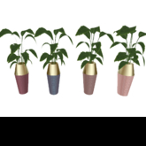 .*.*.Fairy...*...Dust.*.*. - VASE SET UNICORN {ADD ME}