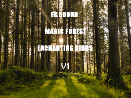 Second Life Marketplace - SOUND FX MAGIC FOREST AND ENCHANTING BIRDS V1