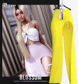 Apple Blossom // Clara Skirt No.6