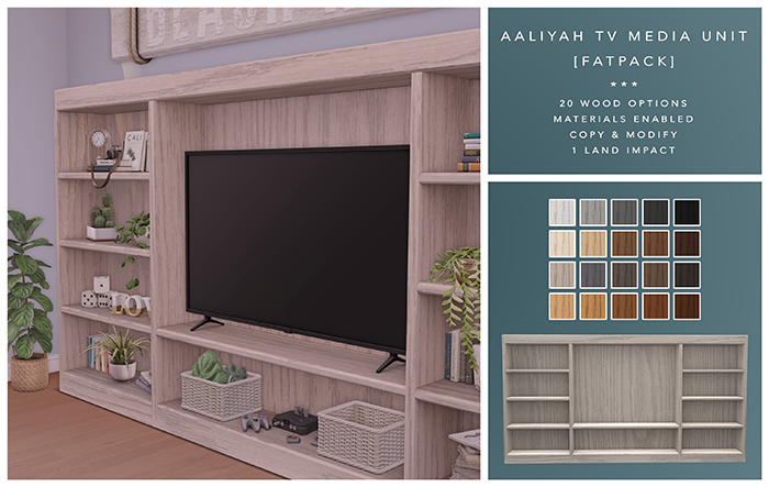 [F] Aaliyah TV Media Unit