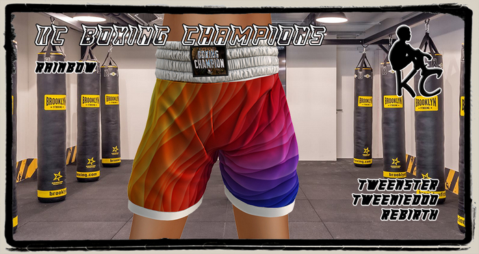 KC Boxing Shorts Champion Rainbow