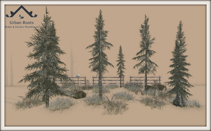 UR Winter Icy Pine Forest/ Rabbit Scene