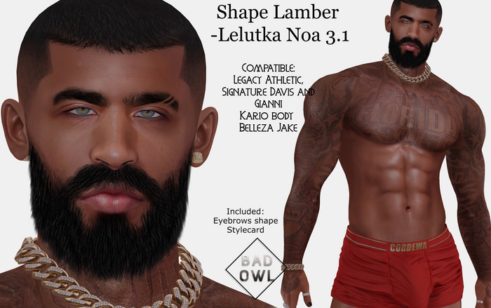 SHAPE LAMBER-LELUTKA NOA 3.1