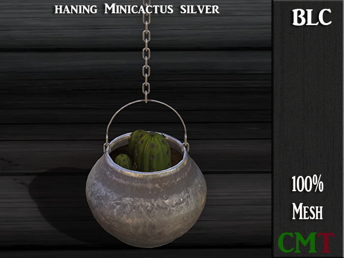 BLC haning minicactus silver