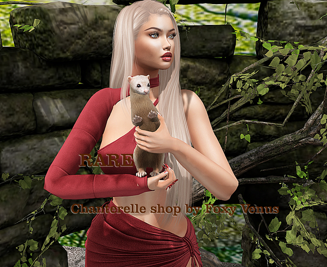 20-Mutresse - Frisky Ferrets wearable RARE