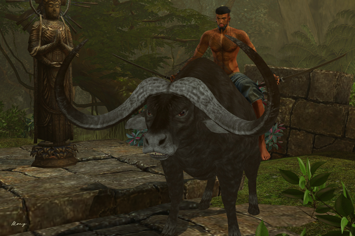 .:Tribal Tuesday:. Buffalo Man  (ADD)
