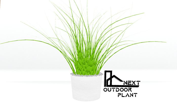 Next : Outdoor Plant
