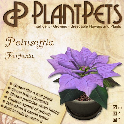 PlantPet Seed [Poinsettia *Fantasia*]