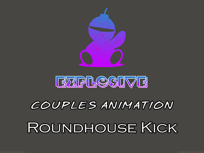 Explosive animation - Roundhouse Kick 2 Full Perm