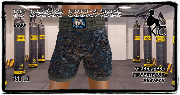KC Boxing Shorts Champion Dark