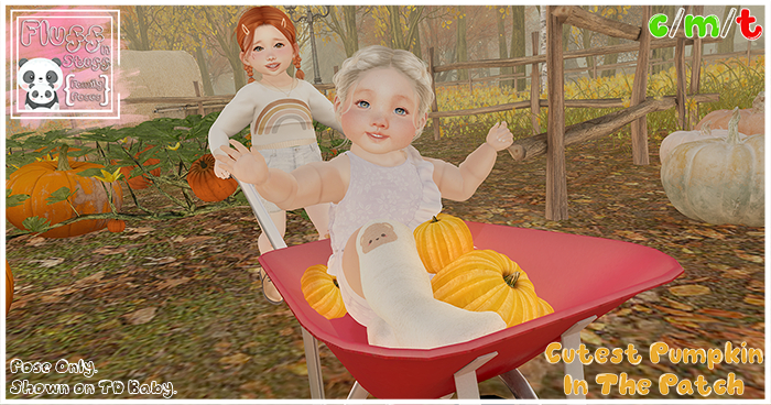 {Fluff N Stuff} - Cutest Pumpkin In The Patch