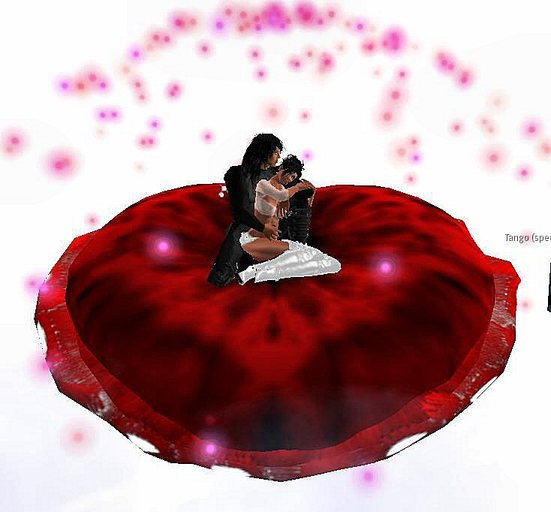 valentine cuddle pillow