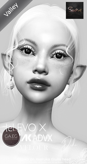 *{Suave}* Demo Skin Didi Lel Evox "Valley" BOX