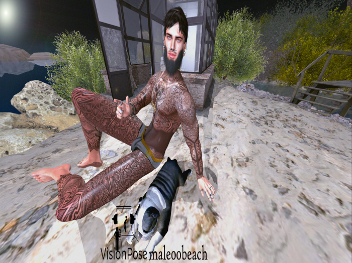 VisionPose:male00beach