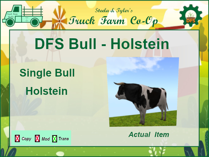 DFS Bull - Holstein X1