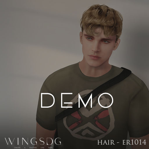 WINGS-HAIR-ER1014 DEMO (Pack)