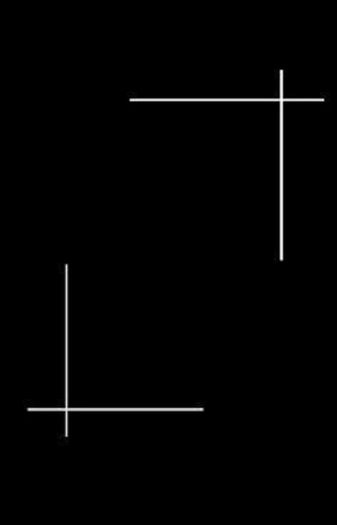 Black & White Design Rug Texture - Full Perm