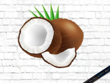 Coconut Wall Decal