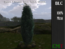 BLC Small Cypress Tree Aqua Green w stones