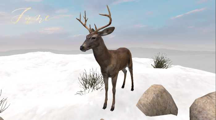 JUNE ~ Reindeer
