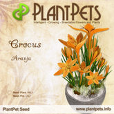 PlantPet Seed [Crocus *Aranja*]