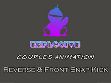 Explosive animation - Reverse & Front Snap Kick Full Perm