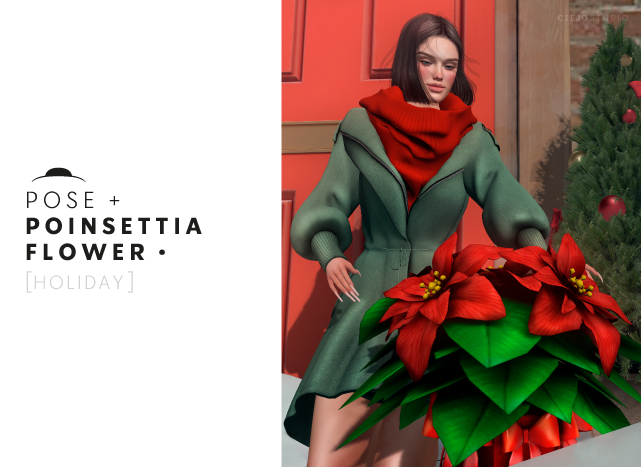 Pose POINSETTIA FLOWER