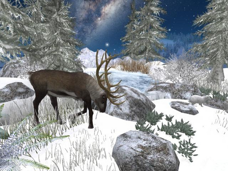 Second Life Marketplace - RW - Snowy icy winter pond pines with (and ...