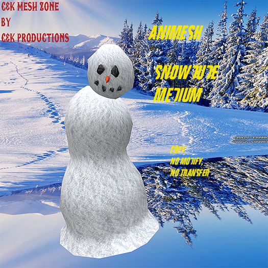 snowdude medium