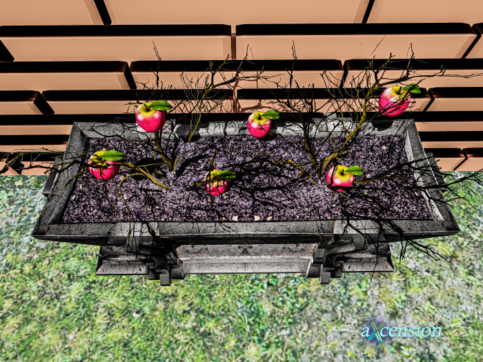 aX: Apple Plantation RARE